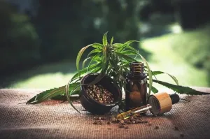 Rozwiązanie na wiele problemów w jednym produkcie? Poznaj olejek CBD